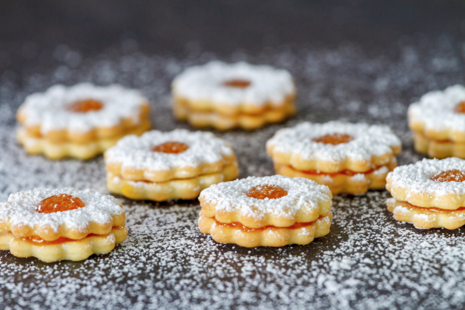 Christmas Cookies with Icing Sugar
